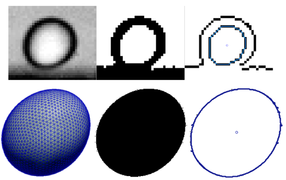 Edge detection techniques applied to cell data to determine cell shape